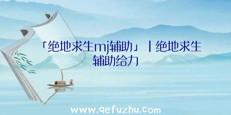 「绝地求生mj辅助」|绝地求生辅助给力